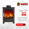 Axon Keswick Wood Burning / Multifuel Ecodesign Stove